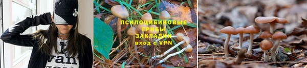 МДПВ Горно-Алтайск