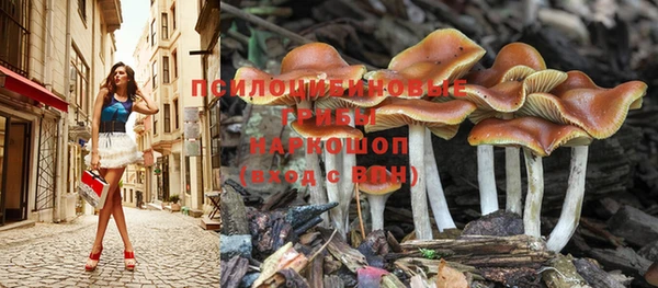 MDMA Горняк