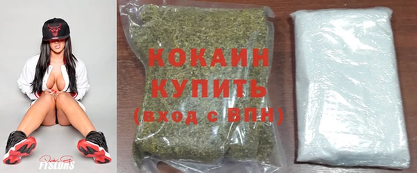 МДПВ Горно-Алтайск