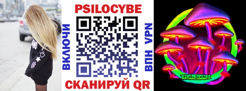 Купить закладки  Кашира  Галлюциногенные грибы Psilocybine cubensis 