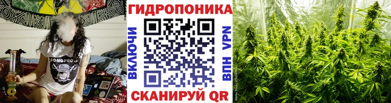 Каннабис конопля  Купить  Кашира 